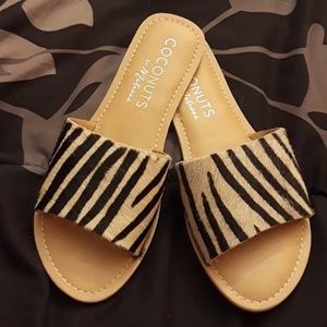 Coconuts by Matisse zebra slides